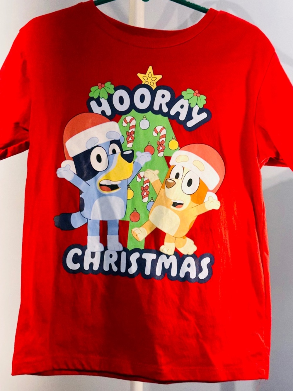 Kids Bluey Christmas T-shirt, sz XS 4-5 (A65, A85)